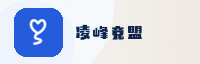 合作伙伴